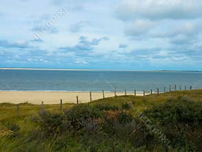 Dunes with beach grass, on a north sea beach at de Koog Texel. Island, Nationa lpark Duinen van Texel, Texel island, Netherlands