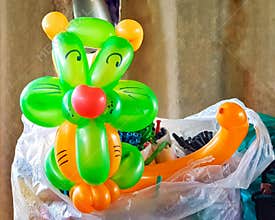 Cat balloons