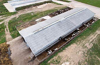 Agricultural Buildings with farm animals. Farm Storage Building with Cows, chicken and pigs. Hay Barns in rural. Cowshed and