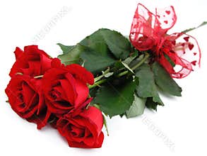 Bunch of Red Roses