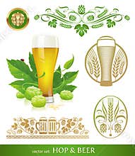 Beer, hop and brewing