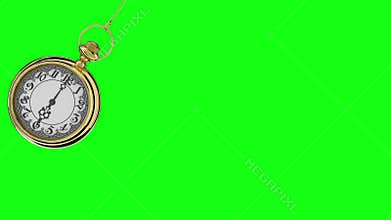 Pendulum of pocket watch