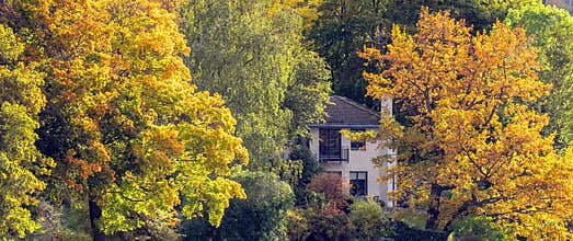 Lone house in autumn forest.