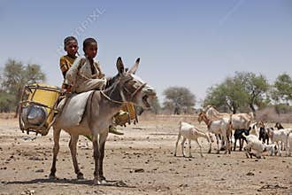 Kids on a donkey in Africa