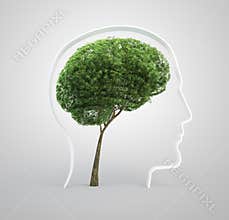 Brain tree - human head