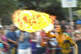 Man is playing with fire. Fire performance. Carnival.