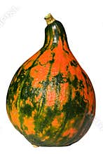 Organic edible gourd