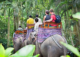 BAKAS ELEPHANT SAFARI, Bali, Indonesia