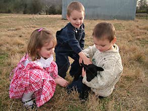 Black lamb and children