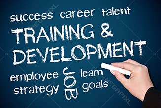 Training and Development