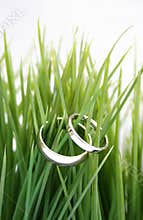 Wedding rings in the grass