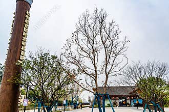 Landscape of Sunac International Tourism Resort, Guilin, Guangxi