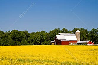 Country farm in springtime
