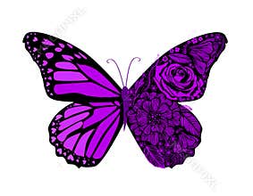 Butterfly Violet from patterns. Vector Patterned illustration for tattoos, posters or prints. Hand drawn sketch. Insect