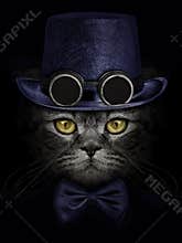 Dark muzzle cat  in green hat with canned glasses  and tie butte