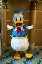 Donald Duck in a swim outfit