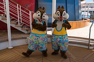 Chip and Dale in a swim outfit