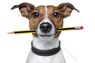 Dog with pencil and eraser