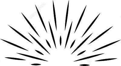 Vintage sunshine logo. Radial rays. Sun beam
