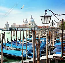Water city, Venice