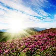 Spring landscape with the cloudy sky and colors