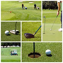 Golf collage