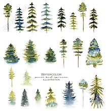 Collection of watercolor conifers, pine trees and firs
