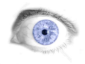 Blue Human Eye Isolated Photo