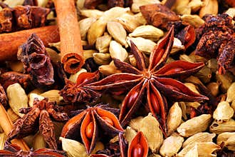 Close up of Indian spices