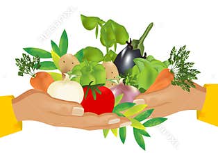 Healthy food (vegetables), cdr vector
