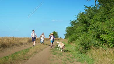 Children throw stick on camera at dog while walking in rural area, friends with pet running outdoors