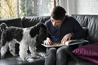 Boy and his poodle dog looking photo album
