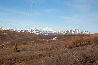Mesmerizing scenery of Denali National Park, Alaska