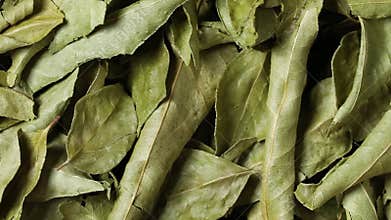 Dried curry leaves full frame close up