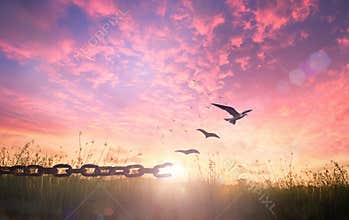 Birds Flying Free From Broken Chains Over Field With Purple Sunset Sky Background
