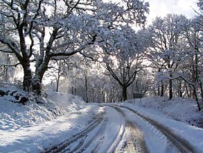 Road after snowfall