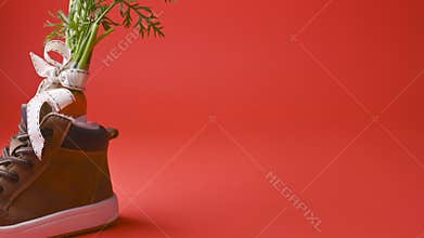 Hildrens shoe with carrots for Santa`s horse, milk, pepernoten and sweets on a bright background. Dutch holiday