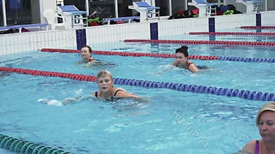 Group of women training aqua gymnastic in swimming pool.