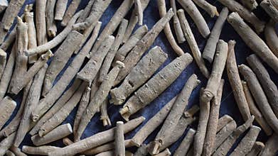 Dried Indian ginseng