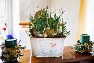 Decoration for home for Easter holiday. Green candle decorated for Easter with flowers, feathers and eggs. Tulip flowers