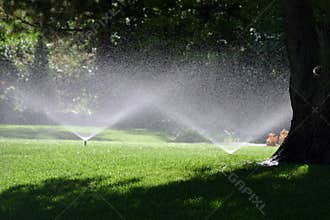 Summer Shower