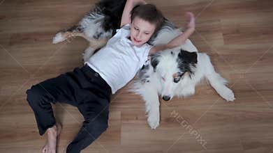 4k. Happy little boy lying on australian shepherd merle dog