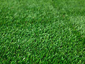 Artificial Grass