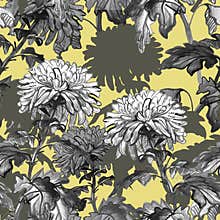 Chrysanthemum flowers, leaves, stems painted by ink in realistic sketch style.