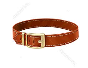 Leather belt. Clothes accessory. Vector illustration.