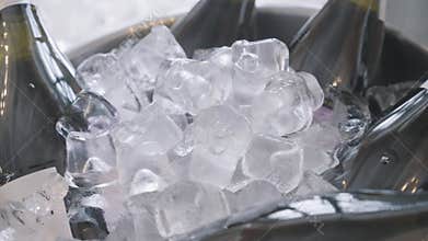 Close up of bottles of champagnes lying inside the ice bucket. Action. Concept of celebration, alcohol drinks bottles