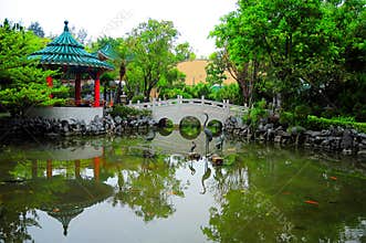 Chinese garden with footbridge