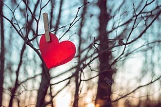 Red heart made of paper hangs on clothespin on tree branch on backdrop of sunset sky