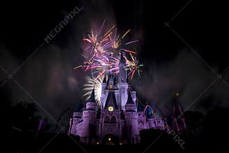 Disney`s Firework