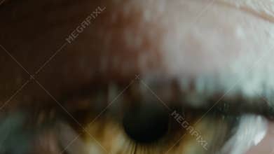 Female person with amazing colorful green eye in studio